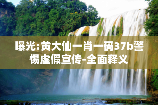 曝光:黄大仙一肖一码37b警惕虚假宣传-全面释义