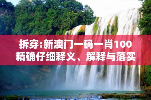 拆穿:新澳门一码一肖100精确仔细释义、解释与落实