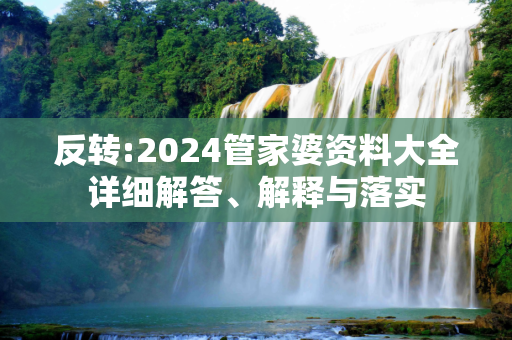 反转:2024管家婆资料大全详细解答、解释与落实