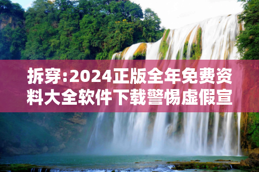 拆穿:2024正版全年免费资料大全软件下载警惕虚假宣传、全面解答与解释