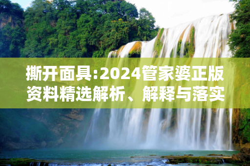撕开面具:2024管家婆正版资料精选解析、解释与落实