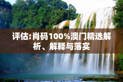 评估:肖码100%澳门精选解析、解释与落实