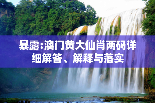 暴露:澳门黄大仙肖两码详细解答、解释与落实