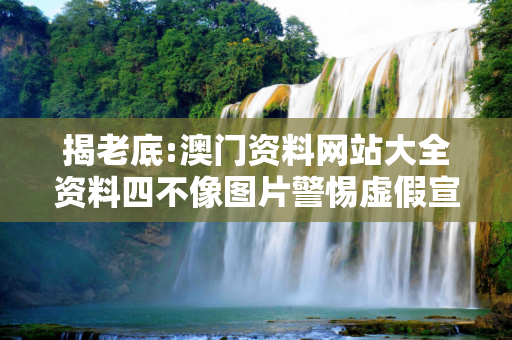 揭老底:澳门资料网站大全资料四不像图片警惕虚假宣传-全面释义