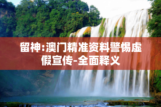 留神:澳门精准资料警惕虚假宣传-全面释义