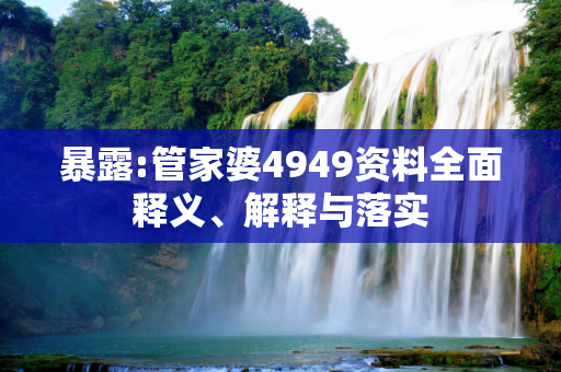 暴露:管家婆4949资料全面释义、解释与落实