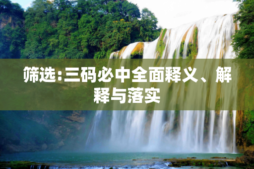 筛选:三码必中全面释义、解释与落实