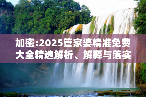 加密:2025管家婆精准免费大全精选解析、解释与落实