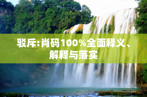 驳斥:肖码100%全面释义、解释与落实