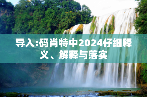 导入:码肖特中2024仔细释义、解释与落实