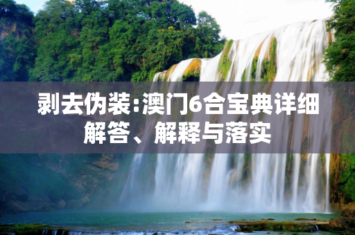 剥去伪装:澳门6合宝典详细解答、解释与落实