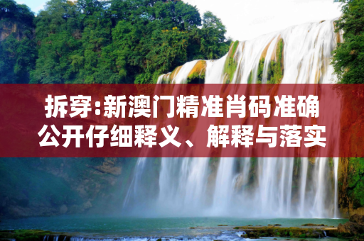 拆穿:新澳门精准肖码准确公开仔细释义、解释与落实