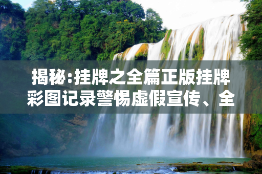 揭秘:挂牌之全篇正版挂牌彩图记录警惕虚假宣传、全面解答与解释