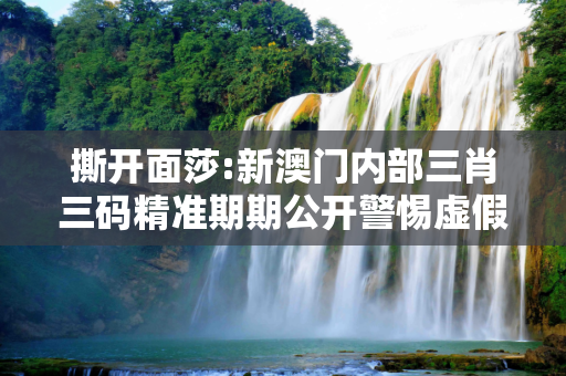 撕开面莎:新澳门内部三肖三码精准期期公开警惕虚假宣传-全面释义
