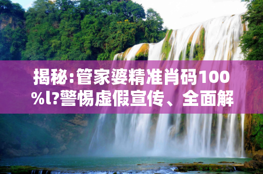 揭秘:管家婆精准肖码100%l?警惕虚假宣传、全面解答与解释